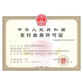 深圳支付服务股份有限公司